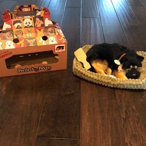 Perfect Pet New In Box